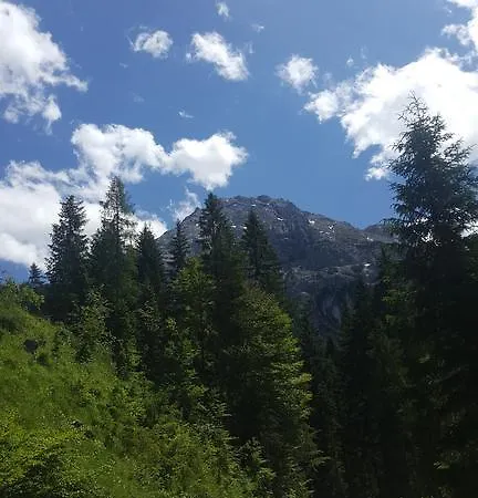 Lischenhof Ehrwald