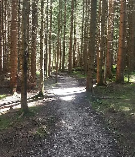 דירה Lischenhof *