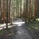 Апартаменты Lischenhof *